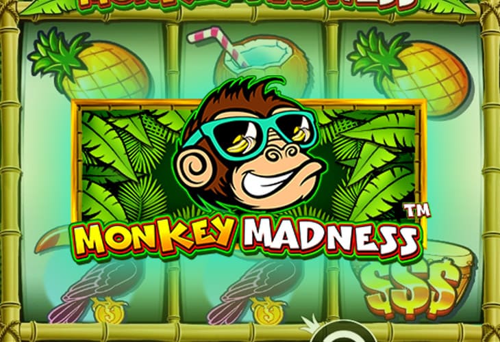 Monkey Madness - Pragmatic Play slot at České eKasino Casino